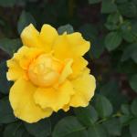 SpaceShuttle_0087 (March 22, 2014)